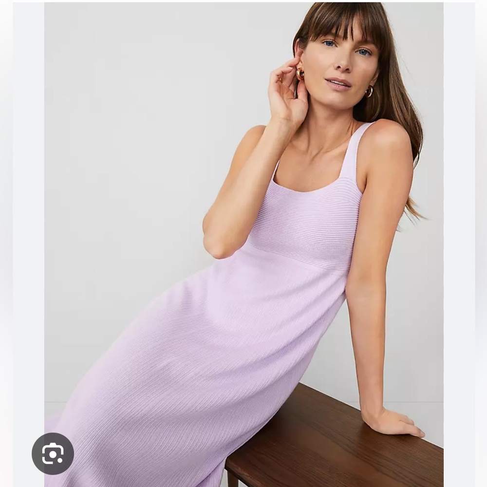 NWT Ann Taylor Ribbed Midi Sweater Dress - Picture 3 of 7